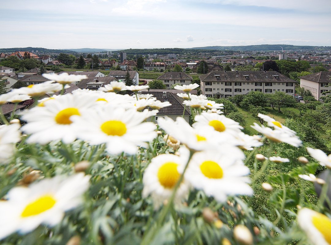 Aussicht über die Stadt Biel