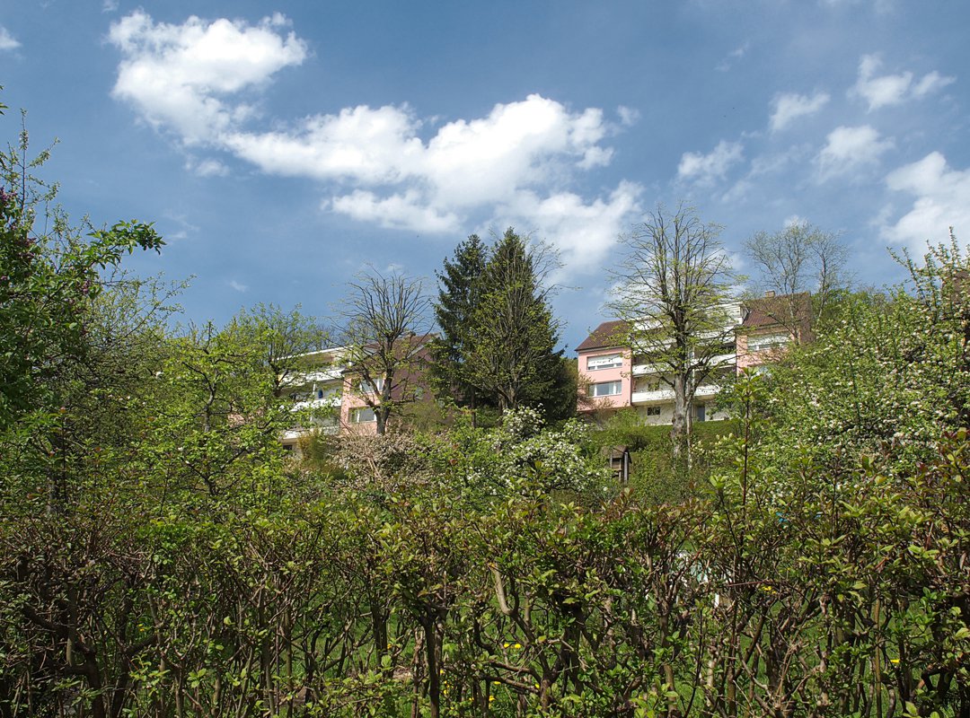 Wohnung im Grünen