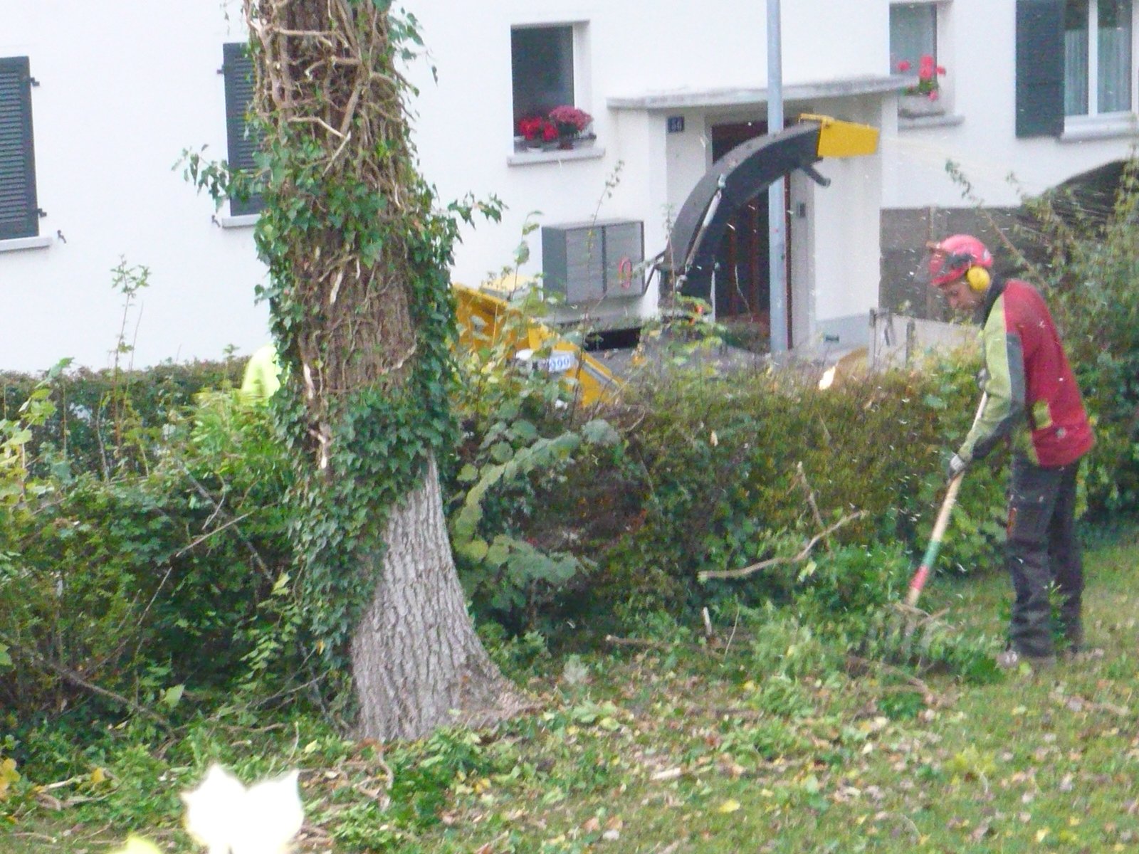 Entretien du jardin