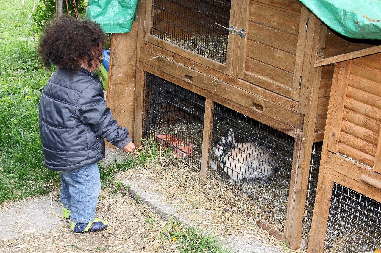 Auch für die Tiere gibt es eine Verköstigung